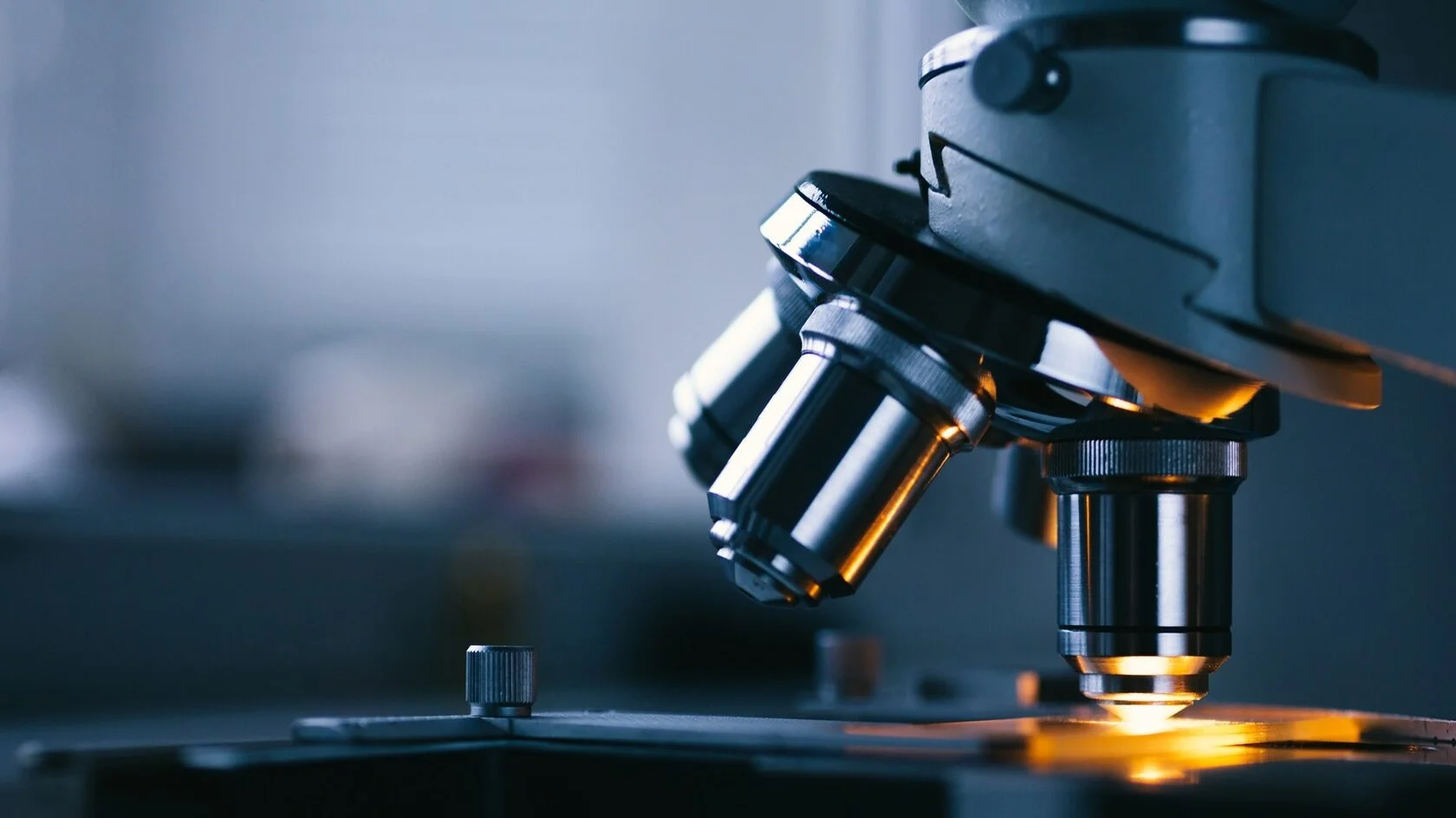 Microscopía de fondo